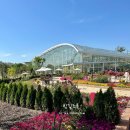 수원-0603 이미지