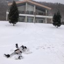 하늘밭펜션 이미지