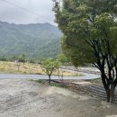 신군관식당 이미지