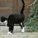 금천동물병원 이미지