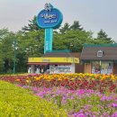 어린이대공원 제4호 | 과천 서울랜드 자유이용권 물놀이 불꽃축제 시간 주차 먹거리