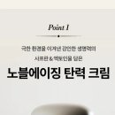 에스테라피 - 원주시 원일로 89 | 에스테라피