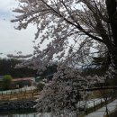 장자대로 이미지