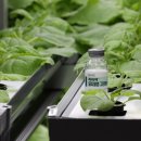 그린바이오앱 이미지