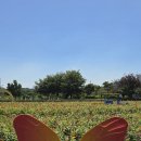 경인아라뱃길 이미지