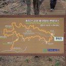 갈뫼정 Daum카페