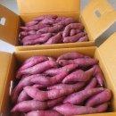 연지농장 이미지