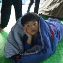 경희대무궁화태권도장 이미지