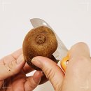 썬 이미지