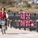 노다지집