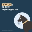 와우동물병원 이미지