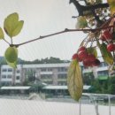 서울신방학초등학교 이미지