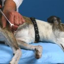 알파동물병원 이미지