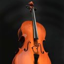 모범채권 이미지