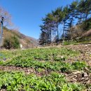 아루농장 이미지