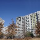 LH천년나무아파트 105동 앞 이미지