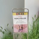 더루프로 | 루프루프 더현대 팝업 후기 :: 내발내간(?)ㅋㅋ