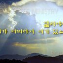 로뎀나무아래서