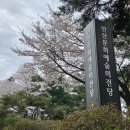 상록수장애인자립생활센터 | 기억의 힘으로 열어가는 새로운 세계, 세월호 11주기 안산기억문화제🎗