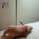 오시나래세탁 앞 | [평택] 평택고덕왁싱 나래뷰티살롱_생애 첫 왁싱 후기