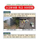 대전전단