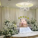 강변역로 | 서울 강변, 웨딩스퀘어 베나르홀 하객 후기(주차, 뷔페 등)