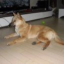 사옥축산 이미지