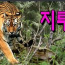댄스스포츠.리듬짝 이미지