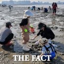 오이도어촌체험휴양마을 이미지