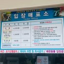 동해무릉계곡 | 동해 가볼만한 곳 무릉계곡 강추｜가족여행 힐링코스 후기
