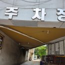 평촌나무동물병원 네이버블로그