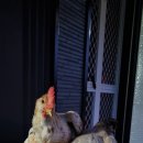 이순농장 이미지