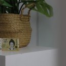 스위트팰리스오피스텔 이미지