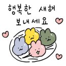 뚱이애견 이미지