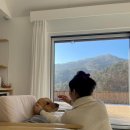 보리네민박 이미지