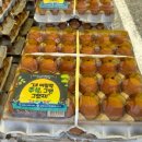 튼튼가정의학과의원 이미지