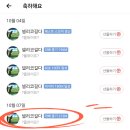 이스카이 골프존 네이버블로그