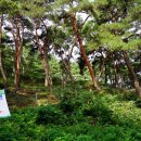 장계관광지 이미지