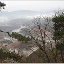 앞버덩 배농장