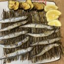 만타스시31 이미지