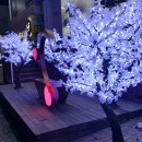 로데오거리입구 주변 이미지