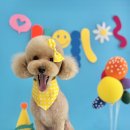 그루밍차차 이미지