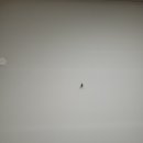 효령로49길 57 (1) 이미지