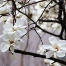 우산각공원 이미지