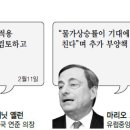 '마이너스 금리' 역풍 두개로 나뉜 지구촌 이미지