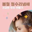 옻안타는천연염색 | 봄철 정수리 냄새 원인? 두피 냄새 잡는 관리 방법-옻 안타는 천연염색 공덕점