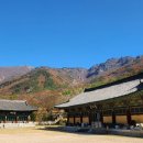 표충사호국박물관 이미지