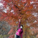 오라카이 청계산호텔 | 청계산 등산 후 숙소 추천|오라카이 청계산 호텔 숙박, 조식 후기