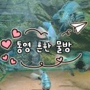 흔한물방