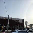 1950 | 당진 1950카페 후기｜당진 분위기 좋은 카페 찾다가 다녀온 감성 공간